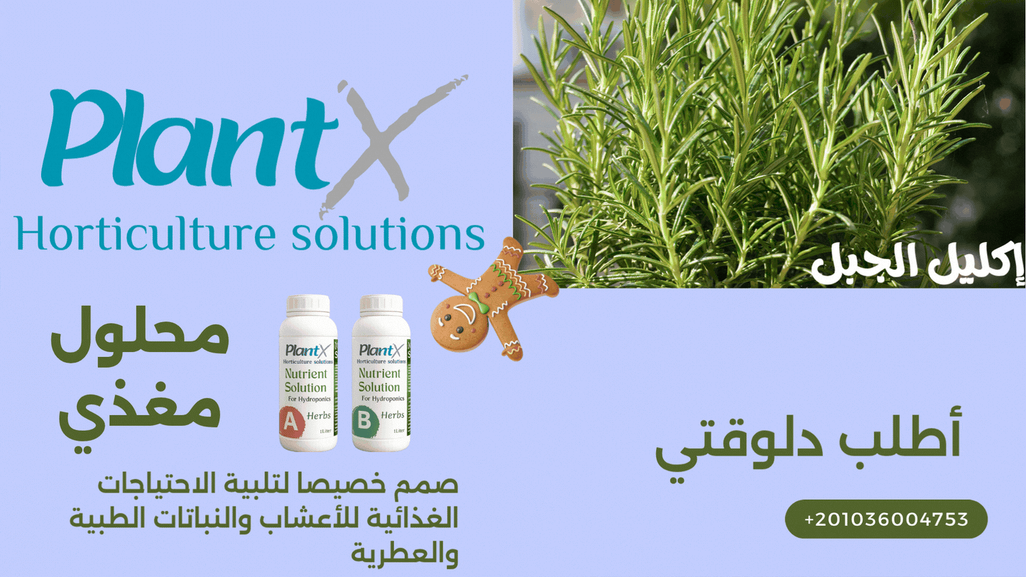 PlantX Nutrient Solution for Herbs, Medicinal and Aromatic Plants A&B
