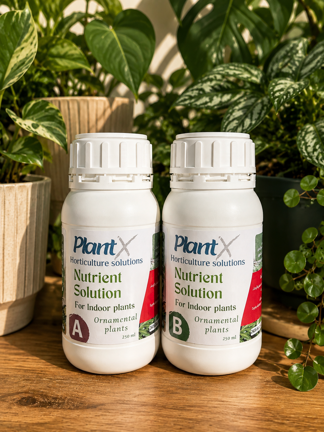 PlantX Nutrient Solution for Indoor Ornamental Plants and Shade Plants A&B