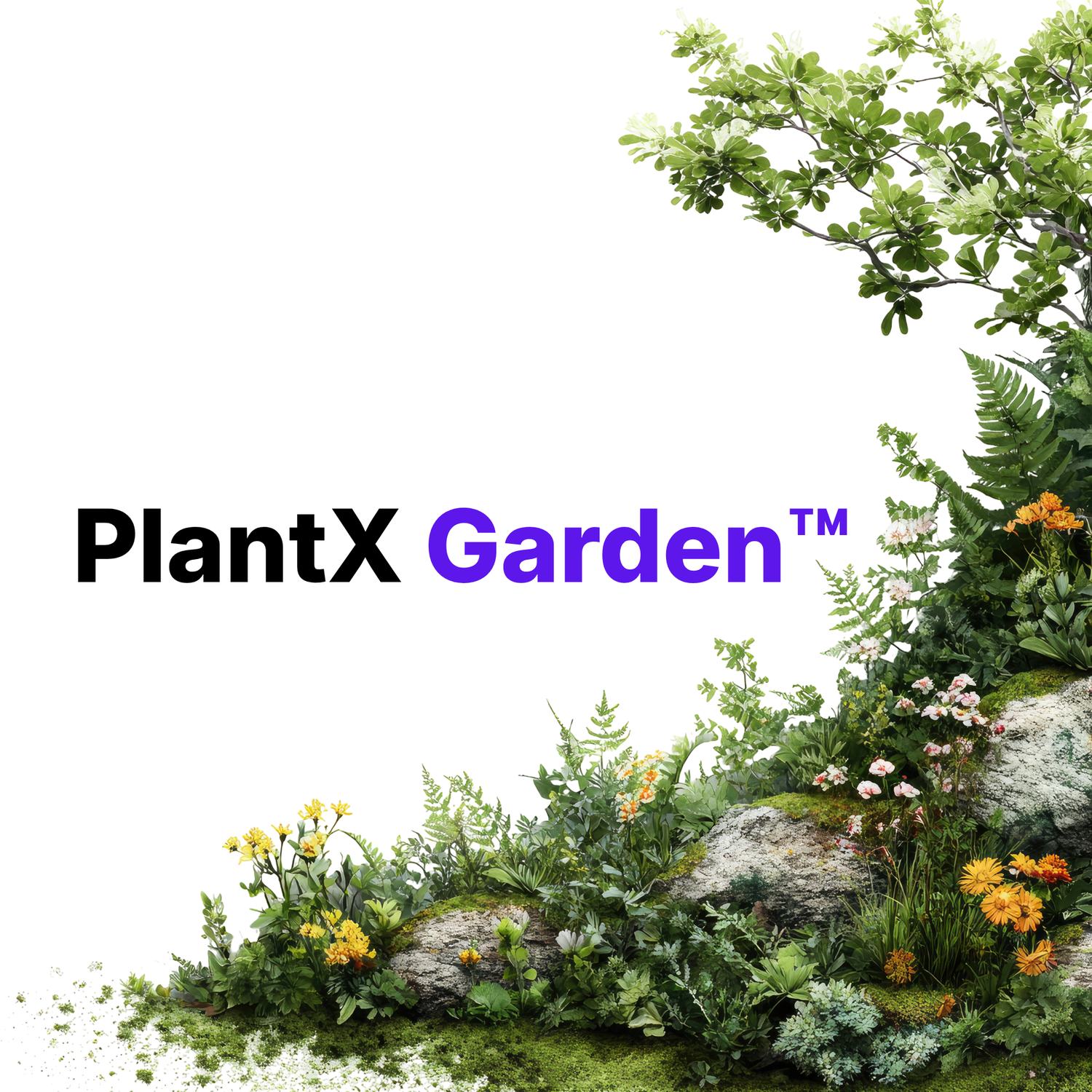 PlantX Garden™