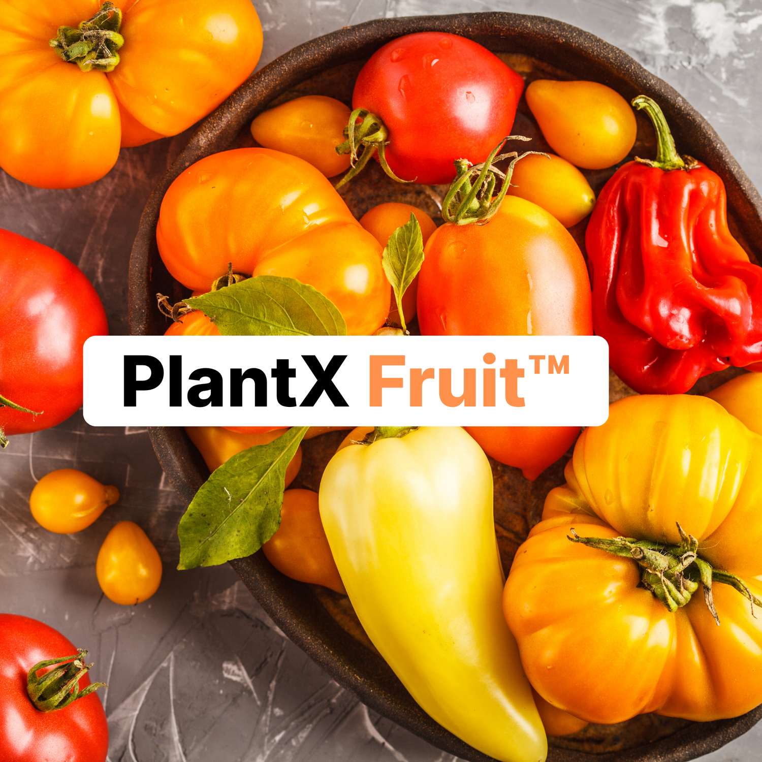 PlantX Fruit™