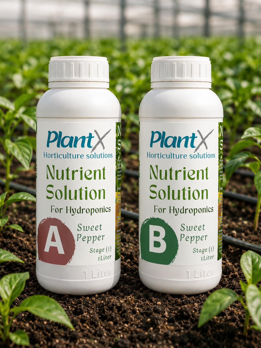 محلول PlantX الغذائي للفلفل الحلو A&B