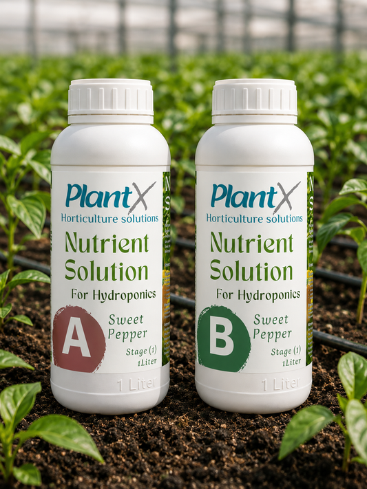 محلول PlantX الغذائي للفلفل الحلو A&B