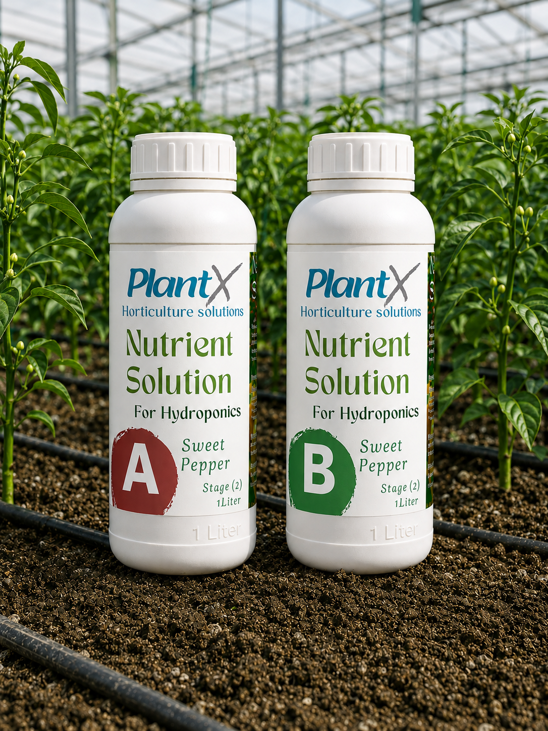 محلول PlantX الغذائي للفلفل الحلو A&B