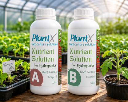 محلول PlantX الغذائي لطماطم اللحم البقري A وB