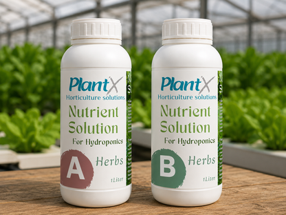 PlantX Nutrient Solution for Herbs, Medicinal and Aromatic Plants A&B