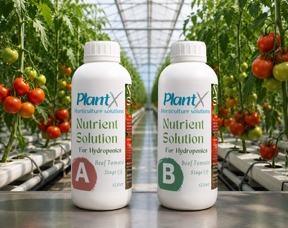 محلول PlantX الغذائي لطماطم اللحم البقري A وB