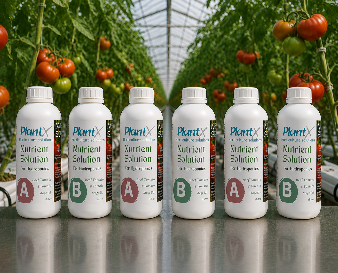 محلول PlantX الغذائي لطماطم اللحم البقري A وB