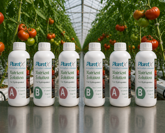محلول PlantX الغذائي لطماطم اللحم البقري A وB