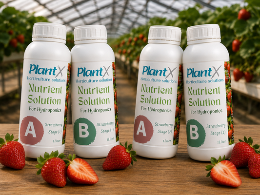 محلول PlantX المغذي للفراولة A&B