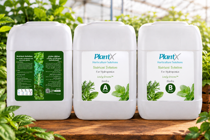 PlantX Nutrient Solution for Herbs, Medicinal and Aromatic Plants A&B