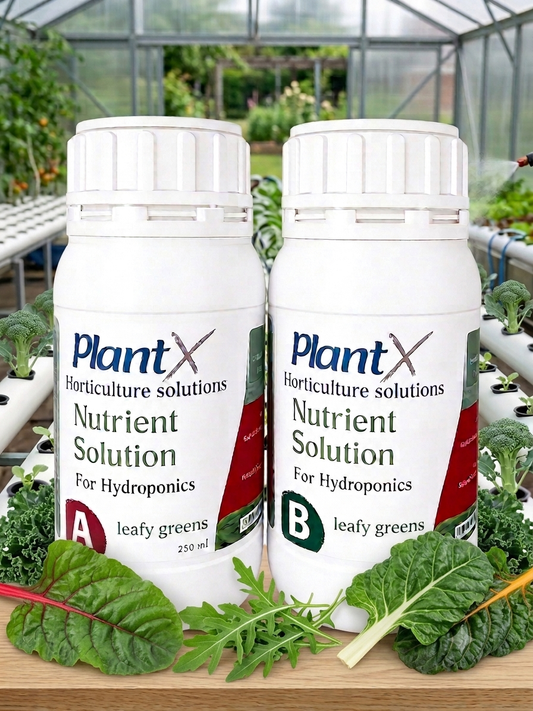 PlantX Nutrient Solution for Leafy Greens
