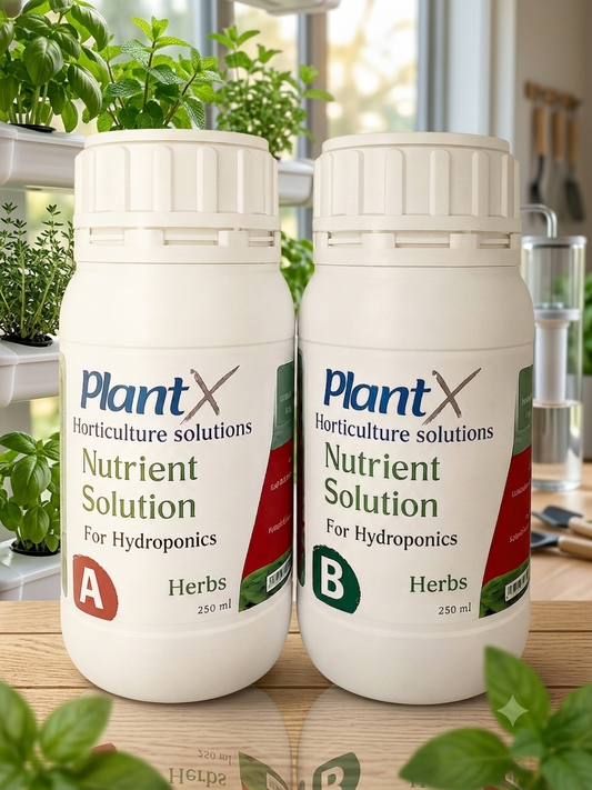 PlantX Nutrient Solution for Herbs, Medicinal and Aromatic Plants A&B