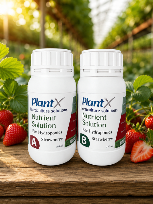 PlantX Nutrient Solution for Strawberry A&B