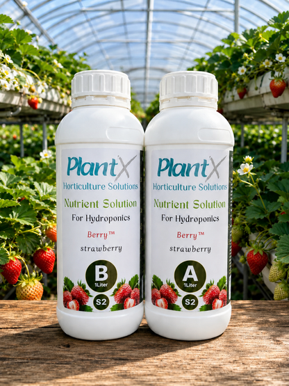 PlantX Nutrient Solution for Strawberry A&B