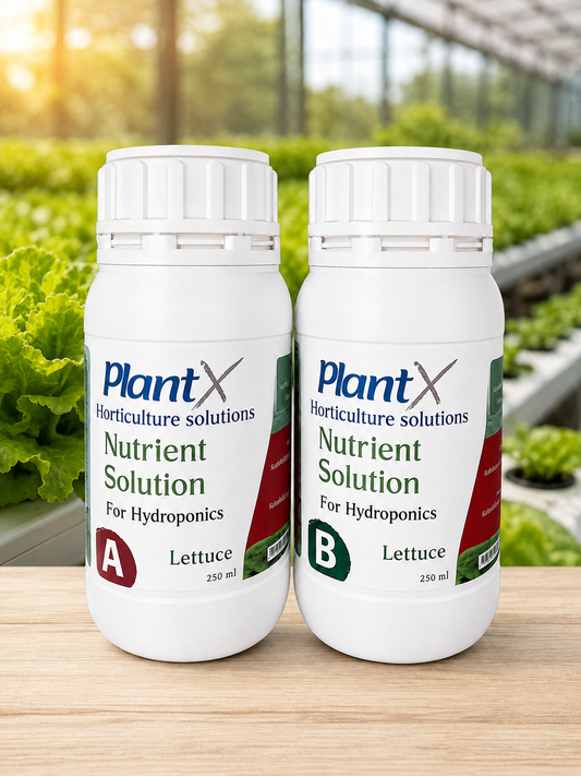 PlantX Nutrient Solution for Lettuce