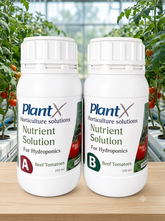 PlantX Nutrient Solution for Beef Tomato A&B