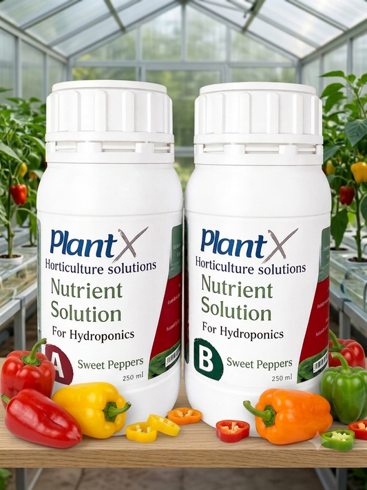 PlantX Nutrient Solution for Sweet pepper A&B