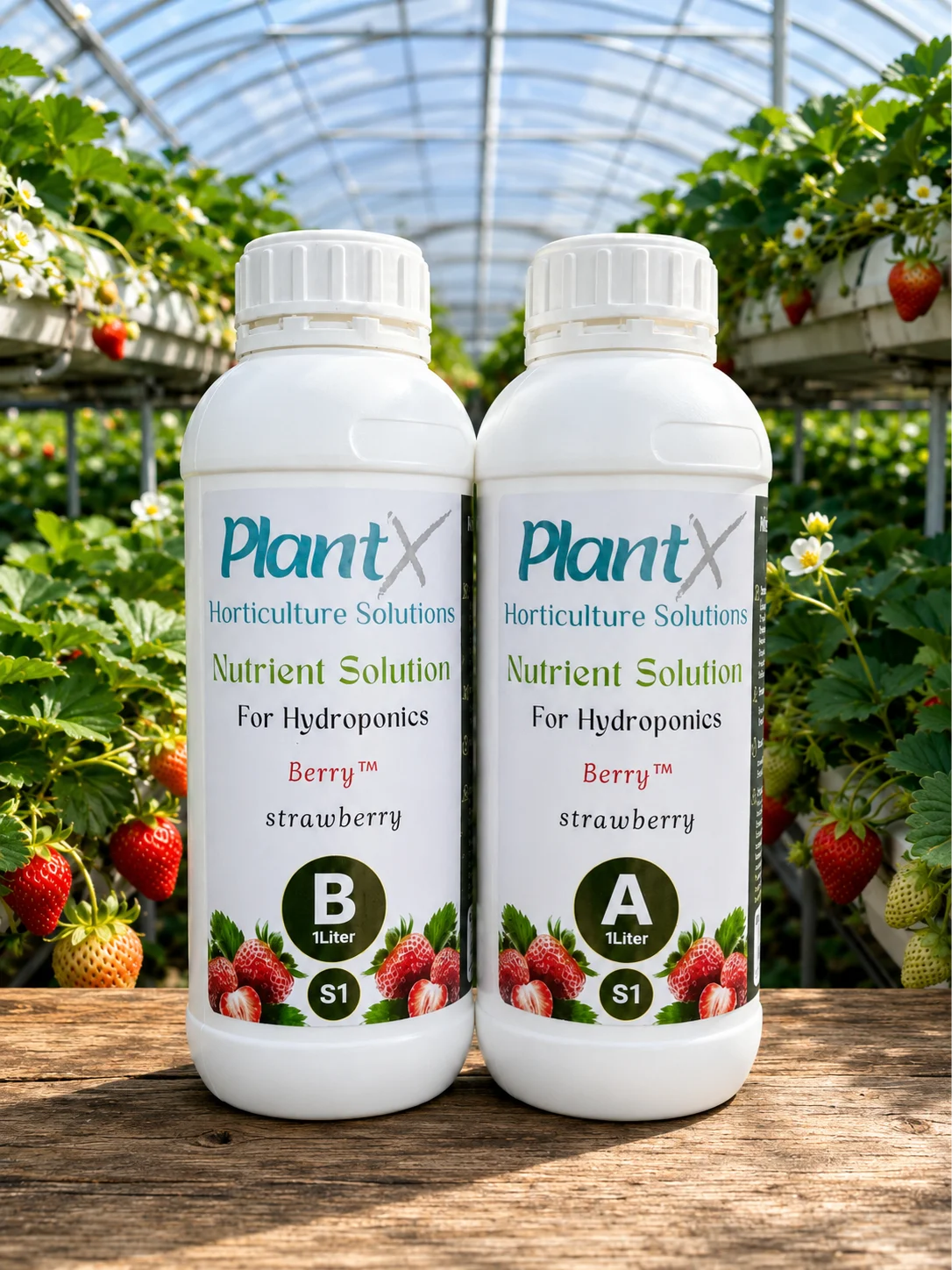 PlantX Nutrient Solution for Strawberry A&B