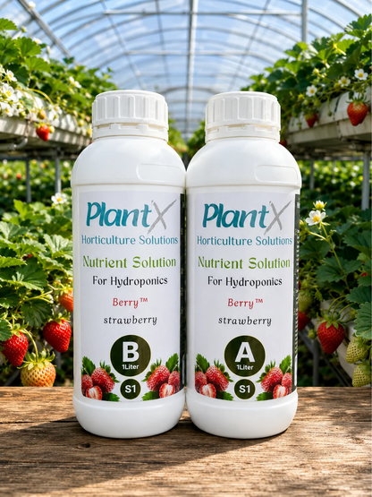 PlantX Nutrient Solution for Strawberry A&B