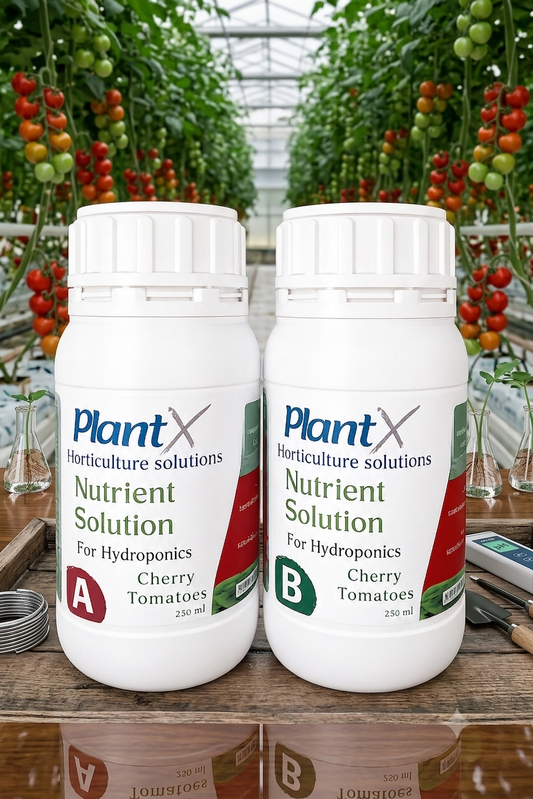 PlantX Nutrient Solution for Cherry Tomato A&B